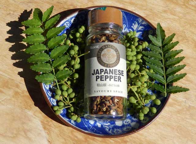 Japanese Pepper by Mascot.