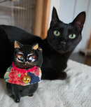 Your Pet Cat Maneki Neko