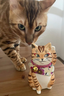 Your Pet Cat Maneki Neko
