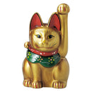 Old-colored Mikawa Neko Tenaga GOLD (L)