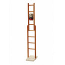 Ladder Daruma