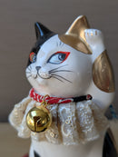 Calico cat.
