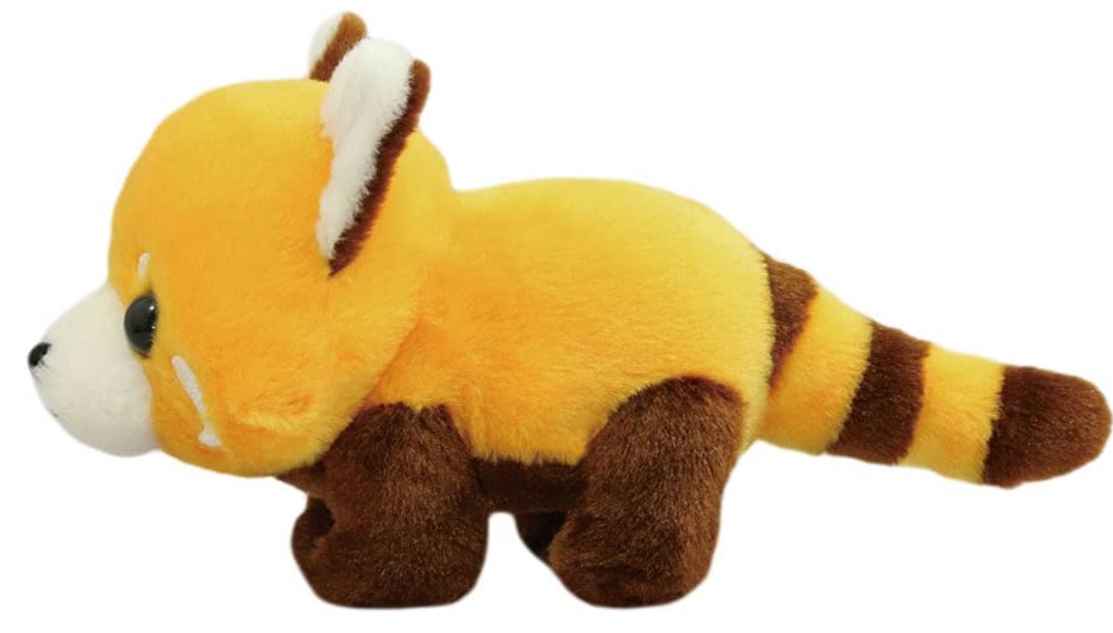 Panda & Lesser Panda