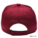 Rakuten Golden Eagles Baseball Cap