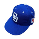 Chunichi Dragons baseball cap.