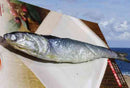 https://www.goodsfromjapan.com/images/dried_sardine_1.jpg