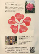 Okinawa Tea - Ryukyu Rose Tea.