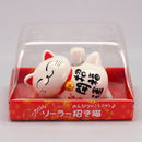 The product in its packaging.