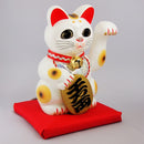 Solar cat from Japan.