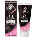 Bihaku Sumigaki Charcoal Toothpaste.