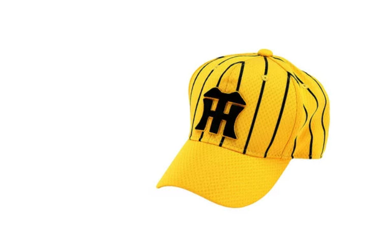 https://www.goodsfromjapan.com/images/pinstripe-yellow.png