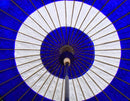 Blue and White Circle Umbrella.