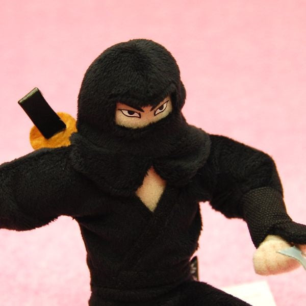 https://www.goodsfromjapan.com/images/ninja4.jpg