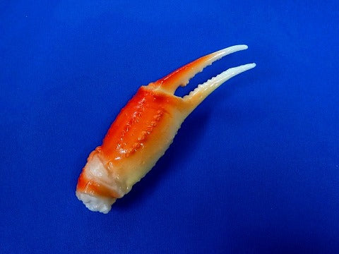 https://www.goodsfromjapan.com/images/Crab_Claw_Magnet.jpg
