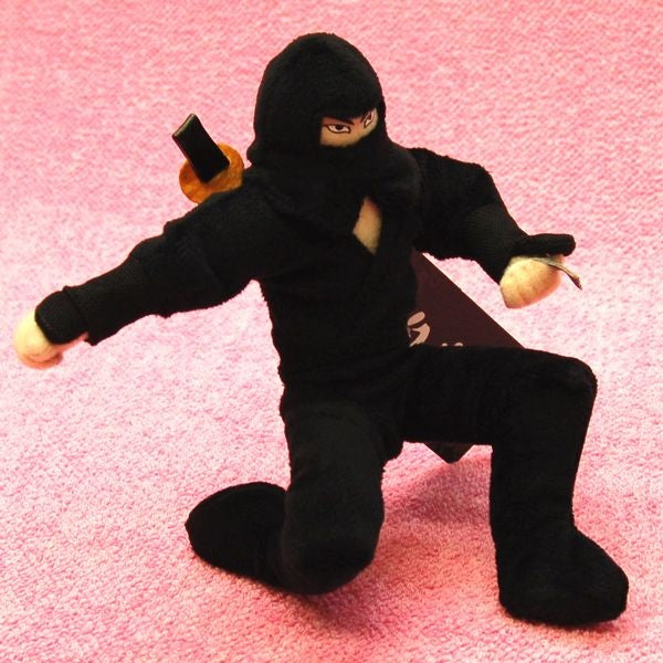 https://www.goodsfromjapan.com/images/ninja1.jpg