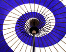 Light Blue and White Spiral Umbrella.